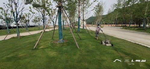 鄂州首個水上植物園即將開園，配套大橋與園林綠化工程全面提升生態景觀