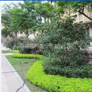 福州園林綠化 設計、施工與工程實例全覽