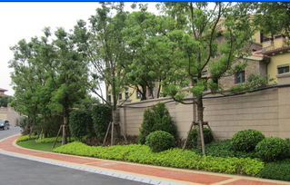 福州園林綠化工程 喬木、花灌木種植設計與施工要點