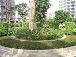 中山最便宜的剪花剪草、園林規劃設計與綠化工程施工全攻略