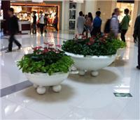 中山全方位綠化與植物租賃服務(wù)指南 從風(fēng)水綠植到園林工程，打造高性價(jià)比綠色空間