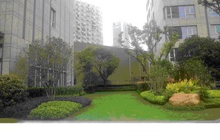 綠化工程網(wǎng) 園林綠化工程施工全流程解析